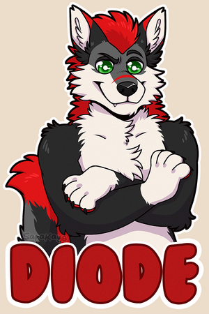 DigitalBadge-Halfbody